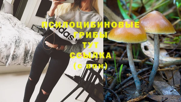 мефедрон мука Дмитриев