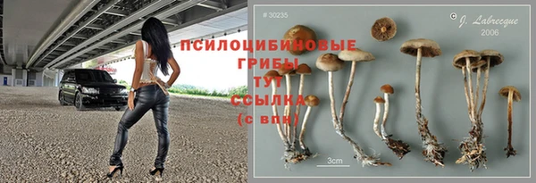 Альфа ПВП Дмитровск